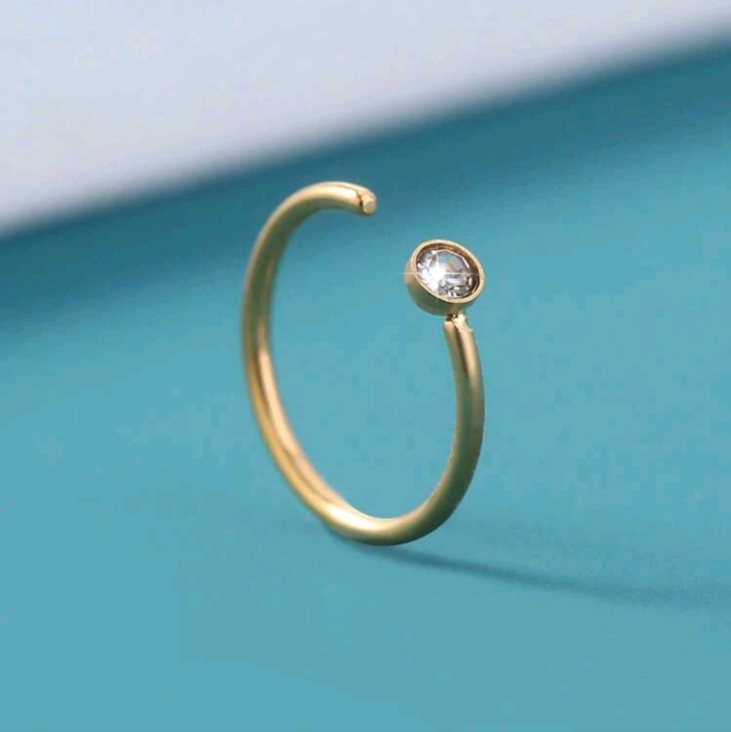 Nose Ring Hoops